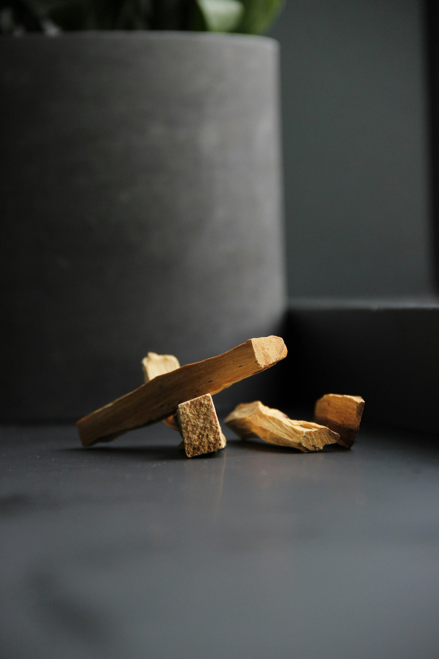 Palo Santo